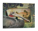 Pelican Paradise I - Steve Hunziker | Cuadro decorativo de Canvas Lab