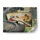 Pelican Paradise I - Steve Hunziker | Cuadro decorativo de Canvas Lab