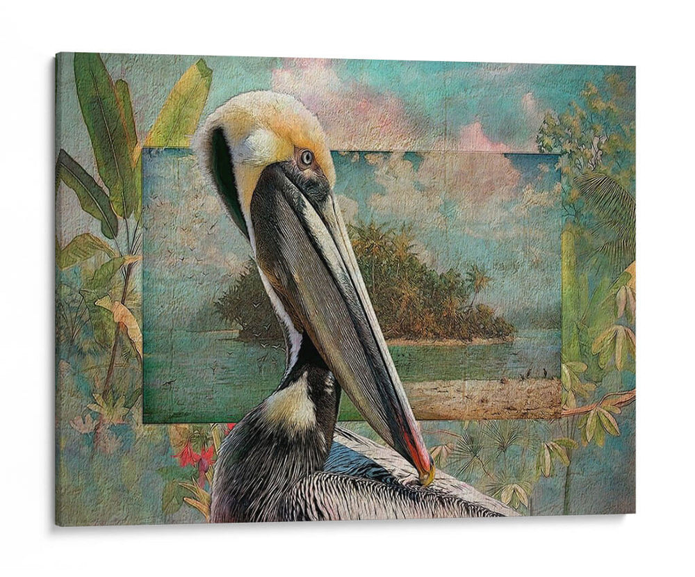Pelican Paradise Ii - Steve Hunziker | Cuadro decorativo de Canvas Lab