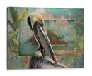 Pelican Paradise Ii - Steve Hunziker | Cuadro decorativo de Canvas Lab