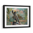 Pelican Paradise Ii - Steve Hunziker | Cuadro decorativo de Canvas Lab