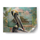 Pelican Paradise Ii - Steve Hunziker | Cuadro decorativo de Canvas Lab