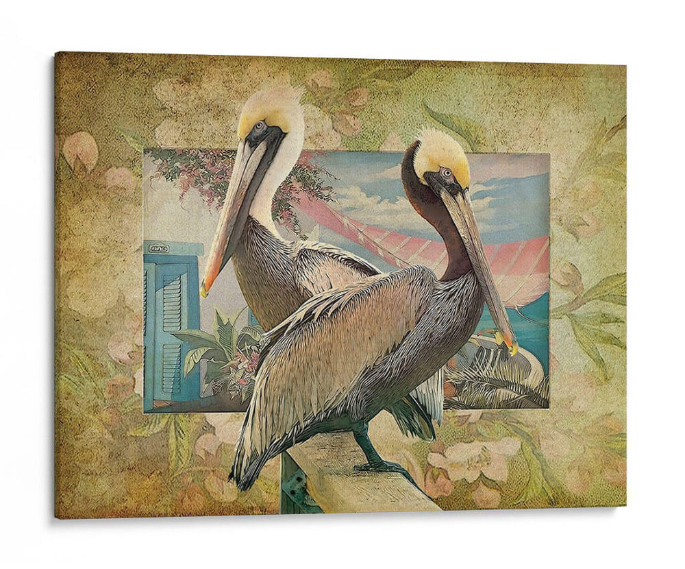 Pelican Paradise Iv - Steve Hunziker | Cuadro decorativo de Canvas Lab