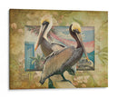 Pelican Paradise Iv - Steve Hunziker | Cuadro decorativo de Canvas Lab
