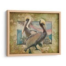 Pelican Paradise Iv - Steve Hunziker | Cuadro decorativo de Canvas Lab