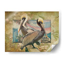 Pelican Paradise Iv - Steve Hunziker | Cuadro decorativo de Canvas Lab