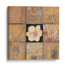 Composición De Luz Dorada Ii - Judi Bagnato | Cuadro decorativo de Canvas Lab