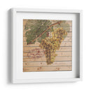 Crazo De Uva Ii - Nobleworks Inc. | Cuadro decorativo de Canvas Lab