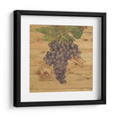 Crazo De Uva Iii - Nobleworks Inc. | Cuadro decorativo de Canvas Lab