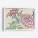 Flores De Peonía I - Melissa Wang | Cuadro decorativo de Canvas Lab