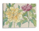 Floraciones De Peonía Ii - Melissa Wang | Cuadro decorativo de Canvas Lab