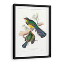 Trogones Tropicales I - John Gould | Cuadro decorativo de Canvas Lab