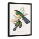 Trogones Tropicales I - John Gould | Cuadro decorativo de Canvas Lab