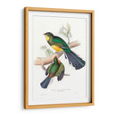 Trogones Tropicales I - John Gould | Cuadro decorativo de Canvas Lab