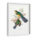 Trogones Tropicales I - John Gould | Cuadro decorativo de Canvas Lab