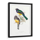 Trogonos Tropicales Ii - John Gould | Cuadro decorativo de Canvas Lab