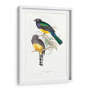 Trogonos Tropicales Ii - John Gould | Cuadro decorativo de Canvas Lab