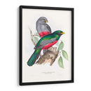 Trogonos Tropicales Iii - John Gould | Cuadro decorativo de Canvas Lab