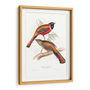 Trogonos Tropicales Iv - John Gould | Cuadro decorativo de Canvas Lab