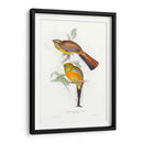 Trogones Tropicales Vi - John Gould | Cuadro decorativo de Canvas Lab