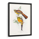 Trogones Tropicales Vi - John Gould | Cuadro decorativo de Canvas Lab