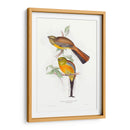 Trogones Tropicales Vi - John Gould | Cuadro decorativo de Canvas Lab