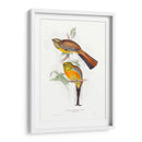 Trogones Tropicales Vi - John Gould | Cuadro decorativo de Canvas Lab