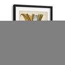 Espécimen Hortícola I | Cuadro decorativo de Canvas Lab