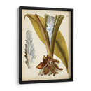 Espécimen Hortícola I | Cuadro decorativo de Canvas Lab