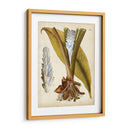 Espécimen Hortícola I | Cuadro decorativo de Canvas Lab