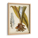 Espécimen Hortícola I | Cuadro decorativo de Canvas Lab