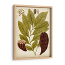 Espécimen Hortícola Iii | Cuadro decorativo de Canvas Lab