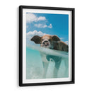 Puerquito acuático | Cuadro decorativo de Canvas Lab