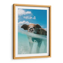 Puerquito acuático | Cuadro decorativo de Canvas Lab