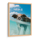 Puerquito acuático | Cuadro decorativo de Canvas Lab