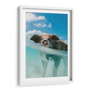 Puerquito acuático | Cuadro decorativo de Canvas Lab