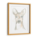 Ciervo Camafeo Ii - June Erica Vess | Cuadro decorativo de Canvas Lab