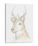 Ciervo Camafeo Iii - June Erica Vess | Cuadro decorativo de Canvas Lab