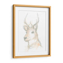 Ciervo Camafeo Iii - June Erica Vess | Cuadro decorativo de Canvas Lab