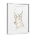 Ciervo Camafeo Iii - June Erica Vess | Cuadro decorativo de Canvas Lab