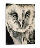 Búho De Carbón Ii - Jennifer Paxton Parker | Cuadro decorativo de Canvas Lab
