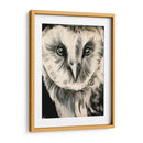 Búho De Carbón Ii - Jennifer Paxton Parker | Cuadro decorativo de Canvas Lab