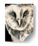 Búho De Carbón Ii - Jennifer Paxton Parker | Cuadro decorativo de Canvas Lab
