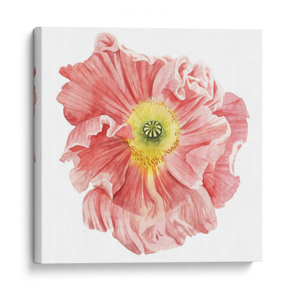 Mercado De La Amapola I - Grace Popp | Cuadro decorativo de Canvas Lab