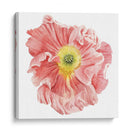 Mercado De La Amapola I - Grace Popp | Cuadro decorativo de Canvas Lab