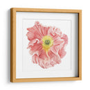 Mercado De La Amapola I - Grace Popp | Cuadro decorativo de Canvas Lab