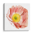 Market Poppy Ii - Grace Popp | Cuadro decorativo de Canvas Lab