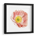 Market Poppy Ii - Grace Popp | Cuadro decorativo de Canvas Lab