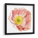 Market Poppy Ii - Grace Popp | Cuadro decorativo de Canvas Lab