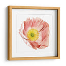 Market Poppy Ii - Grace Popp | Cuadro decorativo de Canvas Lab